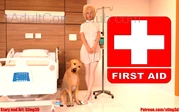 First Aid