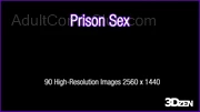 Prison Sex