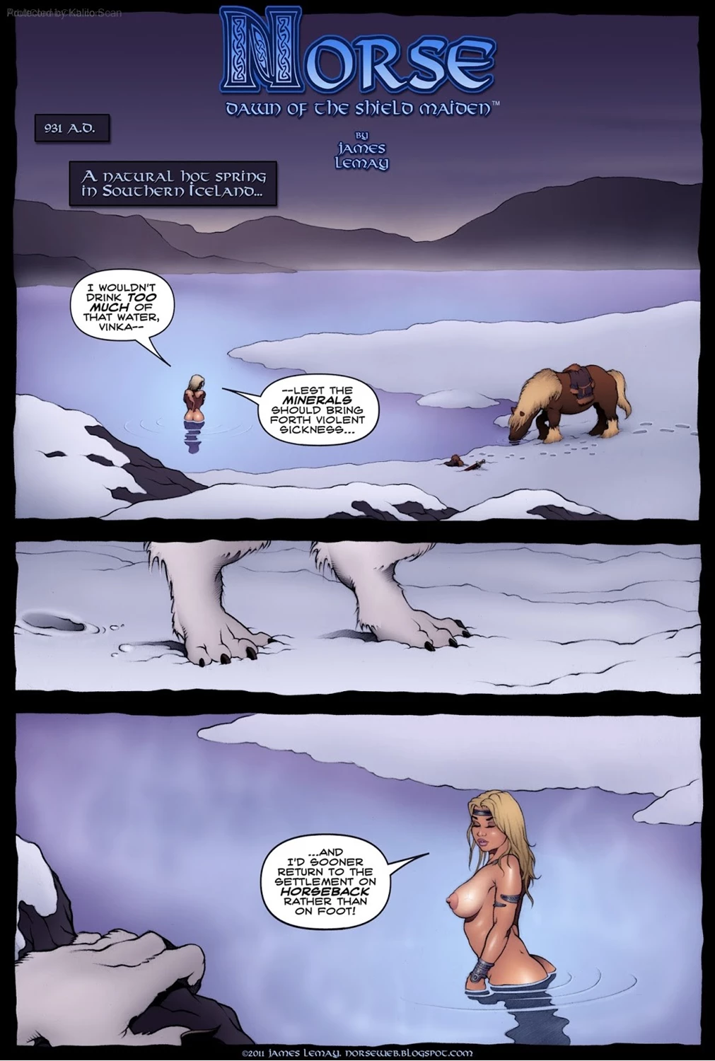 Norse Dawn Of The Sheild Maiden